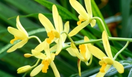 Tử vi ngày 9/10/2014 theo cung hoàng đạo