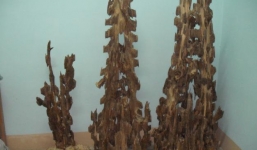 Đại gia Việt và thú chơi trầm tiền tỷ… tăng cường sinh lực