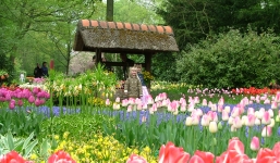 Tử vi ngày 11/10/2014 theo cung hoàng đạo