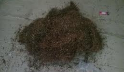 Tử vong sau khi uống thuốc của thầy lang vườn