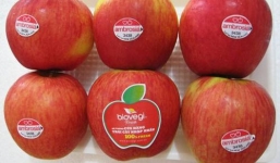 Chiêu hô biến hoa quả Tàu thành 'Ngoại' của chủ cửa hàng đồ sạch