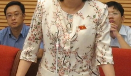 “Quan chức kiêm dân biểu” từ góc độ luật sư