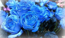 Tử vi ngày 14/10/2014 theo cung hoàng đạo