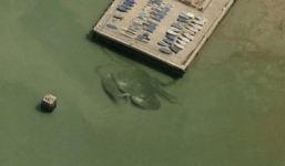 Xôn xao 'quái vật đại dương' cua dài 15m gây sốt cộng đồng mạng