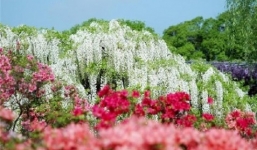 Tử vi ngày 15/10/2014 theo cung hoàng đạo