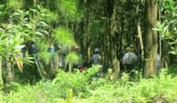 Hành vi đồi bại của kẻ giết nữ nhân viên tiệm vàng