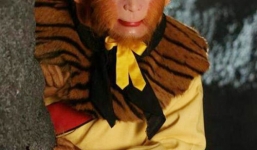 Bí mật sự ra đời của Tôn Ngộ Không