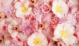 Tử vi ngày 17/10 theo cung hoàng đạo