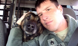 Xúc động chú chó liều mình cứu chủ trước họng súng kẻ thù 