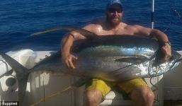 Cá ngừ vây vàng khổng lồ nặng 85 kg bị ngư dân tóm gọn