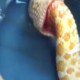 Clip độc: Rắn quằn quại tự nuốt chính mình