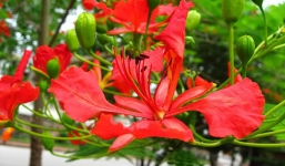 Tử vi ngày 18/10 theo cung hoàng đạo