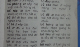 Thu hồi và tiêu hủy cuốn từ điển Tiếng Việt gây sốc