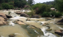 Rừng Tánh Linh: Bí mật kho báu 7,5 tấn vàng