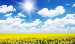 Lá thư xúc động con gái gửi mẹ trên thiên đường