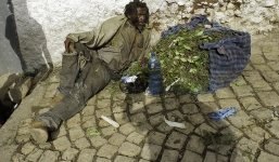 Cận cảnh loài cây giết người ở lục địa đen