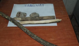 Lên cơn tâm thần, bố dùng gậy đánh chết con trai