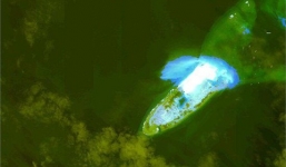 Trung Quốc đã biến Đá Chữ Thập thành đảo lớn nhất Trường Sa