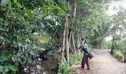 Đối mặt rắn lục khi săn hàng 'ông uống bà khen' ở miền Tây