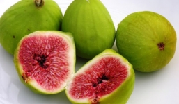 Một số bài thuốc dân gian chữa bệnh từ quả sung