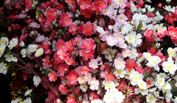 Tử vi ngày 22/10 theo cung hoàng đạo