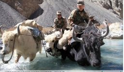 Cận cảnh binh lính Trung Quốc cưỡi bò tuần tra biên giới