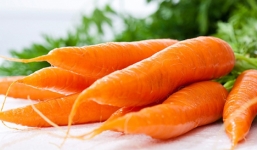 Những thực phẩm cần bổ sung ngay để tránh bệnh mùa lạnh