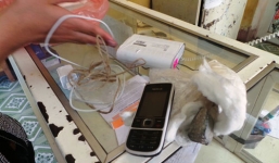 Đường đi “bí ẩn” khiến iphone 5 biến thành 2 cục đá?