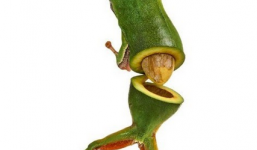 Những bức ảnh sáng tạo vô cùng đẹp mắt