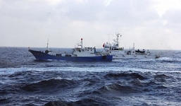 Tại sao ngư dân Trung Quốc cứ lao vào vùng biển “nóng”?