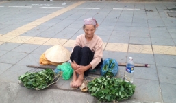 Gánh hàng rau và sự lạc quan của cụ bà U80
