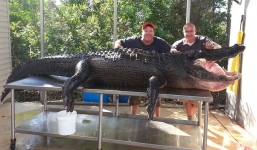 Cá sấu khổng lồ 350kg bị hai thợ săn tóm gọn