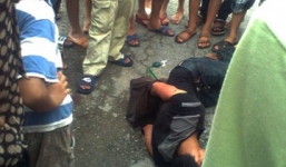 Cả nhà đi... trộm chó