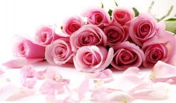 Thứ Hai của bạn (27/10): Nhân Mã có nhiều ý tưởng mới