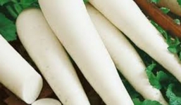 Những tác dụng chữa bệnh tuyệt vời từ củ cải trắng