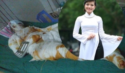 Nướng cá cho chồng, vợ bị bỏng cồn nặng