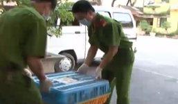 Gà thải, thuốc lá lậu tràn vào nội địa