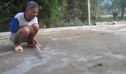 Mang rắn lục đuôi đỏ tới xã, trả ngay 20.000 đồng