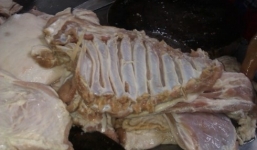 Học sinh tiểu học được cho ăn trưa bằng thịt thối