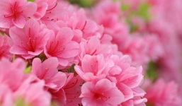 Tử vi ngày 30/10 theo cung hoàng đạo