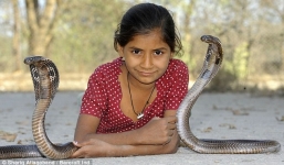 Cận cảnh cuộc sống của 'nữ thần rắn', chinh phục hổ mang chúa