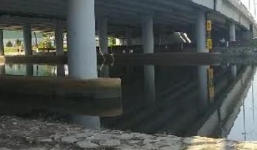 Bàng hoàng chứng kiến người đàn ông nhảy cầu tự tử