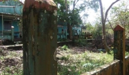 Nữ đại gia xây biệt thự tiền tỷ cho… thú cưng