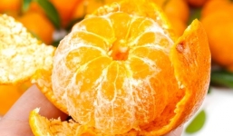 Những loại thực phẩm cần tránh khi đang bị ho