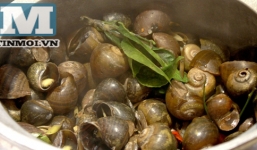 Bí quyết luộc ốc thơm ngon