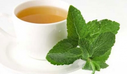 Cách đơn giản để đuổi sạch muỗi ra khỏi nhà bạn