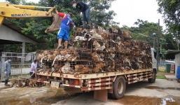 Cảnh sát Thái Lan truy quét gắt gao tội phạm buôn bán thịt chó