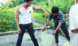 'Chiến dịch' diệt rắn lục đuôi đỏ chưa từng có tại Nghệ An