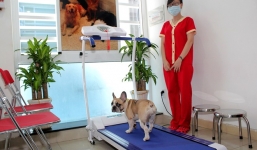 Đại gia Việt chịu chơi chi tiền tỉ cho thú cưng