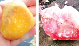 Thương lái Trung Quốc thu mua… sỏi